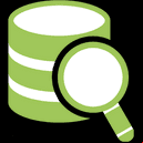 DbVisualizer Pro 25.1.4